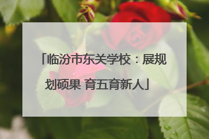 临汾市东关学校：展规划硕果 育五育新人