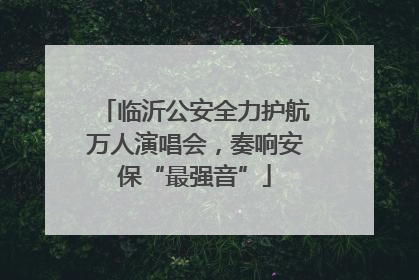 临沂公安全力护航万人演唱会，奏响安保“最强音”