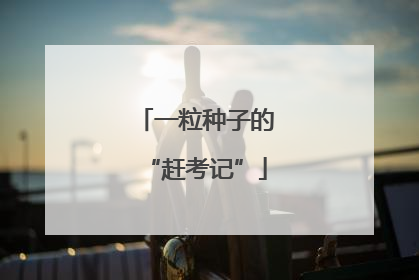一粒种子的“赶考记”