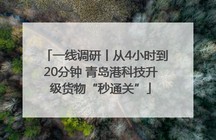 一线调研丨从4小时到20分钟 青岛港科技升级货物“秒通关”
