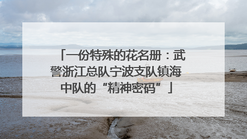 一份特殊的花名册：武警浙江总队宁波支队镇海中队的“精神密码”