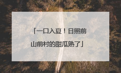 一口入夏！日照前山前村的甜瓜熟了