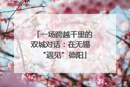 一场跨越千里的双城对话：在无锡“遇见”德阳