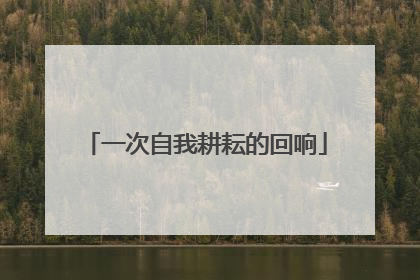 一次自我耕耘的回响