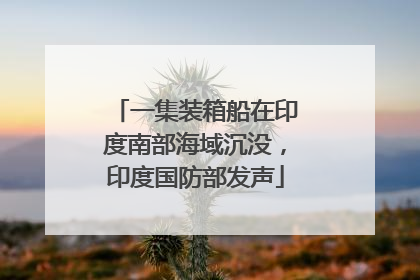 一集装箱船在印度南部海域沉没，印度国防部发声