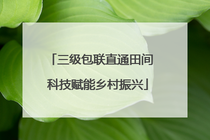 三级包联直通田间 科技赋能乡村振兴