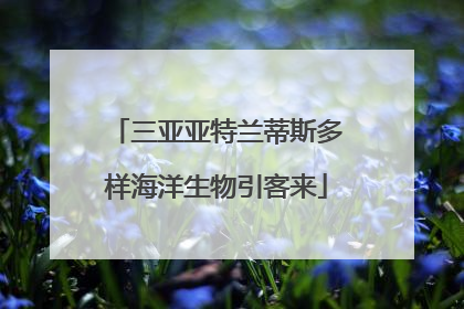 三亚亚特兰蒂斯多样海洋生物引客来