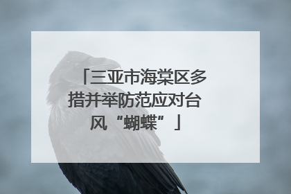 三亚市海棠区多措并举防范应对台风“蝴蝶”