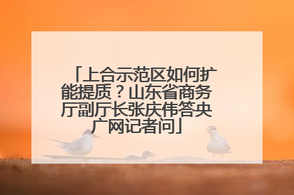 上合示范区如何扩能提质？山东省商务厅副厅长张庆伟答央广网记者问