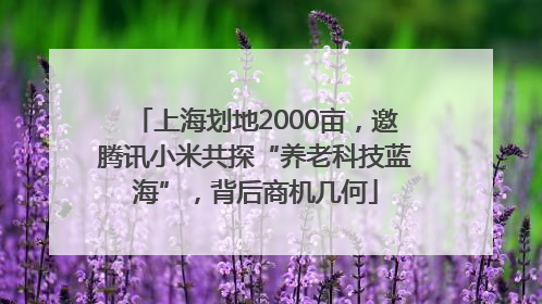 上海划地2000亩，邀腾讯小米共探“养老科技蓝海”，背后商机几何
