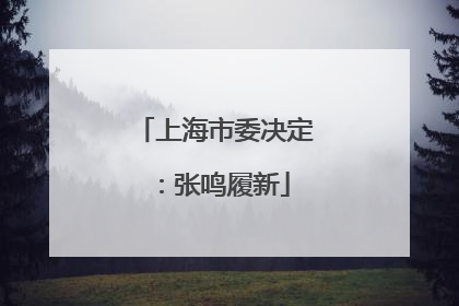 上海市委决定：张鸣履新