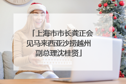 上海市市长龚正会见马来西亚沙捞越州副总理沈桂贤