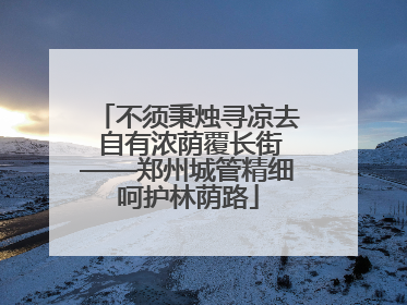 不须秉烛寻凉去 自有浓荫覆长街——郑州城管精细呵护林荫路