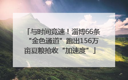 与时间竞速！淄博66条“金色通道”跑出156万亩夏粮抢收“加速度”