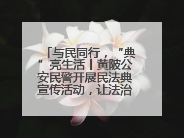 与民同行，“典”亮生活丨黄陂公安民警开展民法典宣传活动，让法治精神在群众心中落地生根
