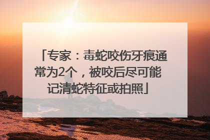 专家：毒蛇咬伤牙痕通常为2个，被咬后尽可能记清蛇特征或拍照