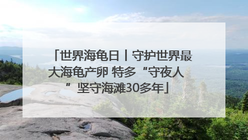 世界海龟日丨守护世界最大海龟产卵 特多“守夜人”坚守海滩30多年