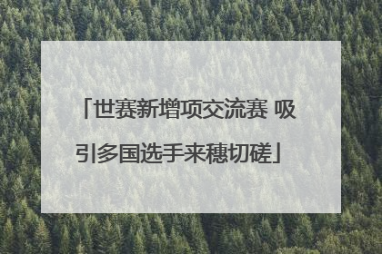 世赛新增项交流赛 吸引多国选手来穗切磋