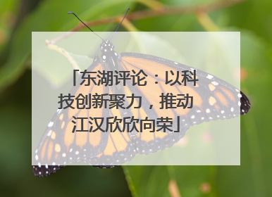 东湖评论：以科技创新聚力，推动江汉欣欣向荣