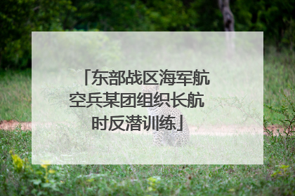 东部战区海军航空兵某团组织长航时反潜训练