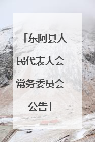 东阿县人民代表大会常务委员会公告