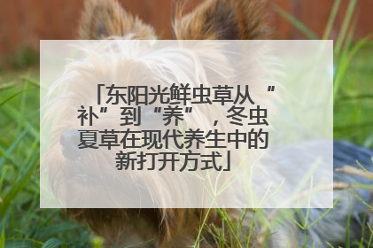 东阳光鲜虫草从“补”到“养”，冬虫夏草在现代养生中的新打开方式