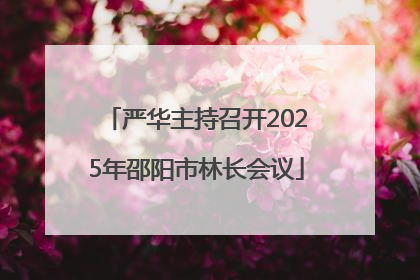 严华主持召开2025年邵阳市林长会议