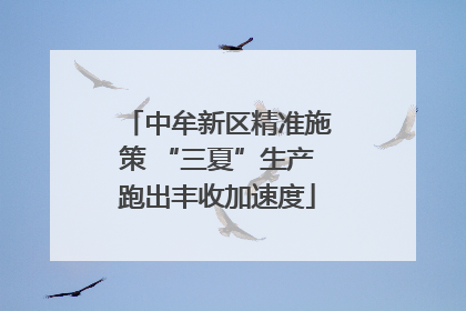 中牟新区精准施策 “三夏”生产跑出丰收加速度