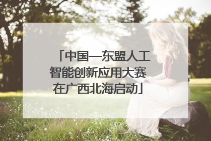 中国—东盟人工智能创新应用大赛在广西北海启动