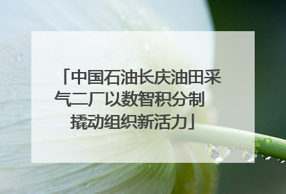 中国石油长庆油田采气二厂以数智积分制 撬动组织新活力