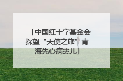 中国红十字基金会探望“天使之旅”青海先心病患儿