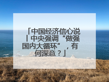 中国经济信心说丨中央强调“做强国内大循环”，有何深意？
