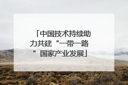 中国技术持续助力共建“一带一路”国家产业发展