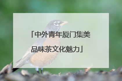 中外青年厦门集美品味茶文化魅力