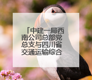 中建一局西南公司总部党总支与四川省交通运输综合行政执法总队第三支队党委、万源市草坝镇莲花院村党支部开展党建联建