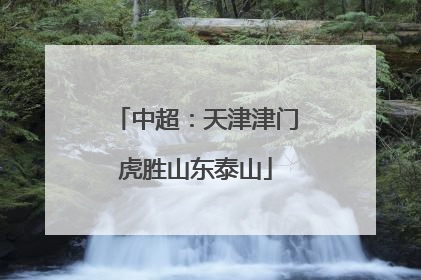中超：天津津门虎胜山东泰山