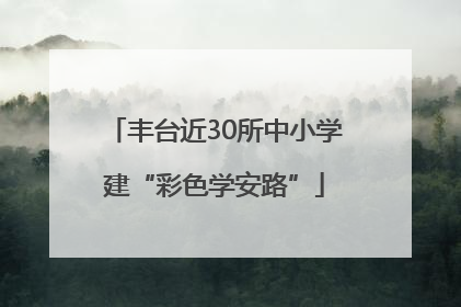 丰台近30所中小学建“彩色学安路”