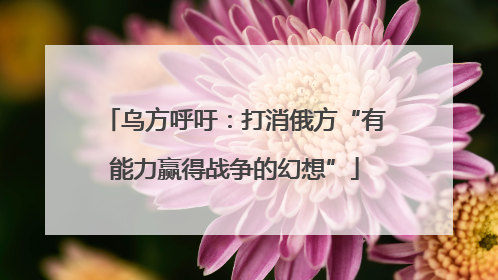 乌方呼吁：打消俄方“有能力赢得战争的幻想”