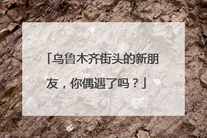 乌鲁木齐街头的新朋友，你偶遇了吗？
