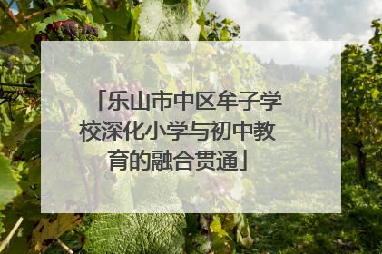 乐山市中区牟子学校深化小学与初中教育的融合贯通