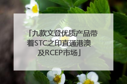 九款文登优质产品带着STC之印直通港澳及RCEP市场