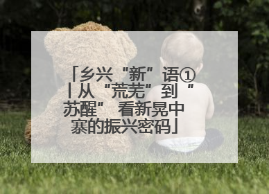 乡兴“新”语①丨从“荒芜”到“苏醒” 看新晃中寨的振兴密码