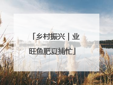 乡村振兴｜业旺鱼肥夏捕忙