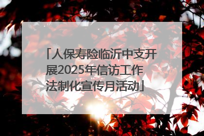 人保寿险临沂中支开展2025年信访工作法制化宣传月活动