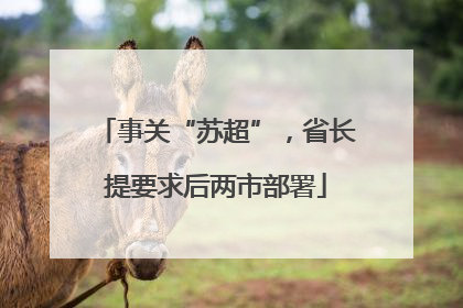 事关“苏超”，省长提要求后两市部署