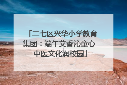 二七区兴华小学教育集团：端午艾香沁童心 中医文化润校园
