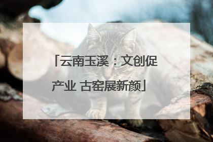 云南玉溪：文创促产业 古窑展新颜