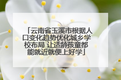 云南省玉溪市根据人口变化趋势优化城乡学校布局 让适龄孩童都能就近就便上好学