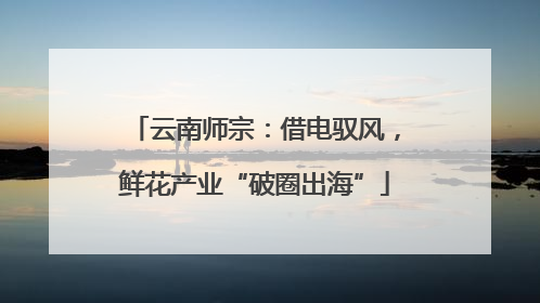 云南师宗：借电驭风，鲜花产业“破圈出海”