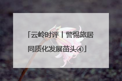 云岭时评丨警惕旅居同质化发展苗头④